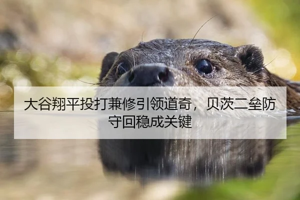 大谷翔平投打兼修引领道奇，贝茨二垒防守回稳成关键